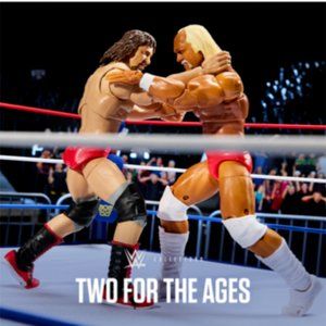 WWE Coliseum Collection Hulk Hogan & Terry Funk Ultimate Edition Figure